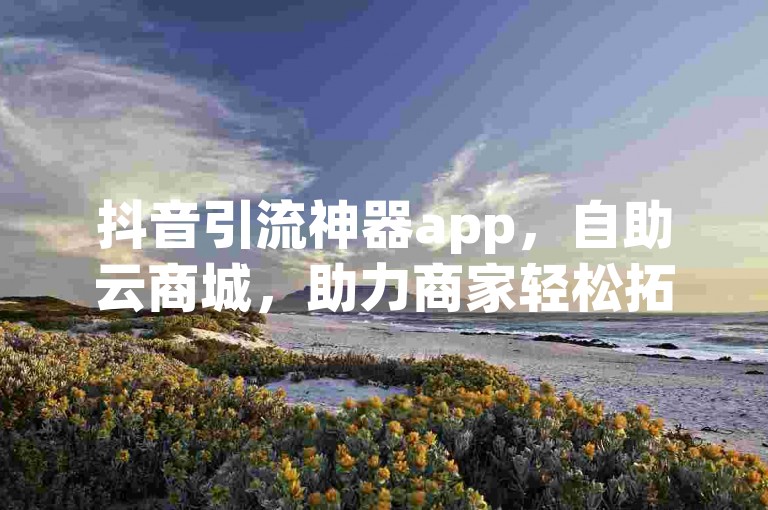 抖音引流神器app，自助云商城，助力商家轻松拓展线上业务。