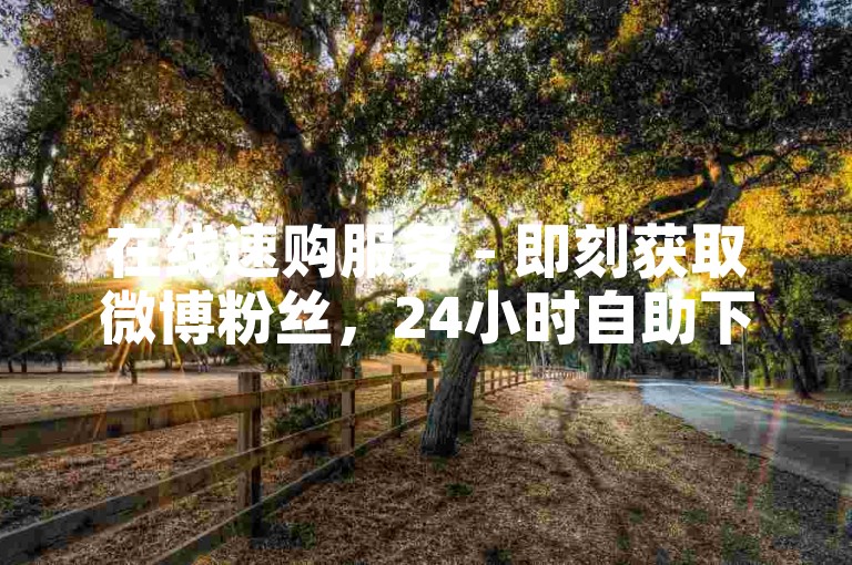 在线速购服务 - 即刻获取微博粉丝，24小时自助下单。