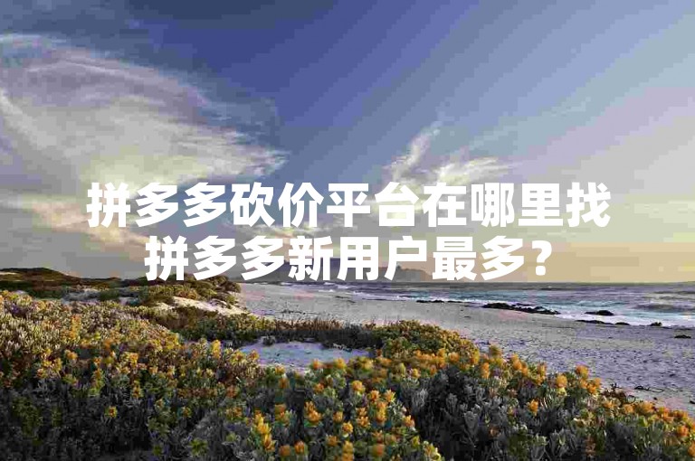 拼多多砍价平台在哪里找拼多多新用户最多？