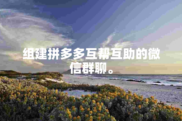 组建拼多多互帮互助的微信群聊。