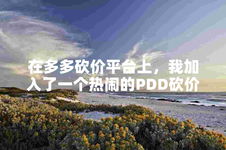 在多多砍价平台上，我加入了一个热闹的PDD砍价群，大家都是真人互帮互助来砍价。