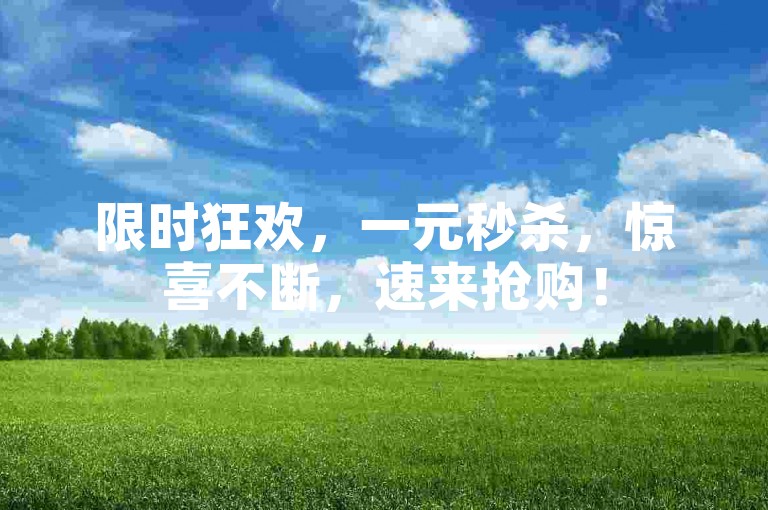 限时狂欢，一元秒杀，惊喜不断，速来抢购！