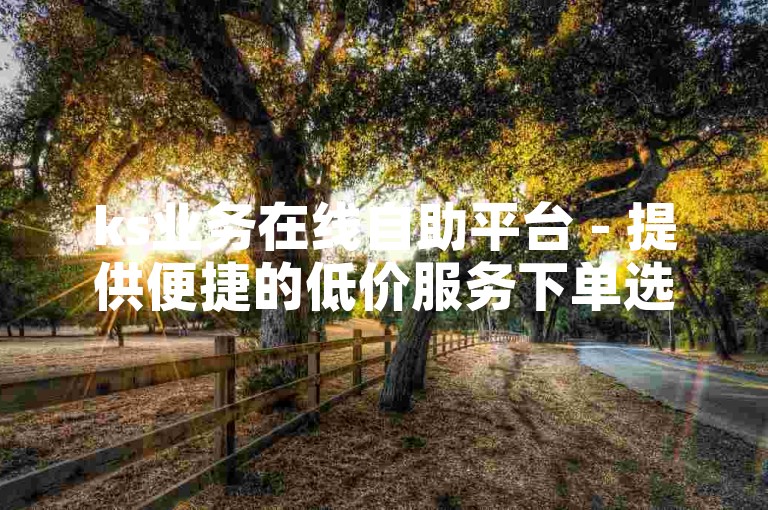 ks业务在线自助平台 - 提供便捷的低价服务下单选项
