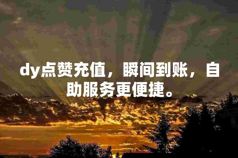 dy点赞充值，瞬间到账，自助服务更便捷。