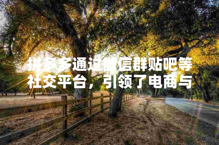 拼多多通过微信群贴吧等社交平台，引领了电商与社交融合的新趋势。