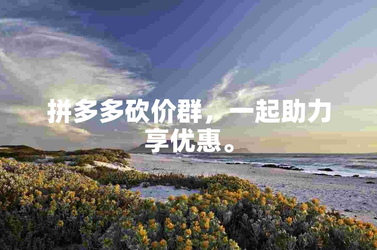拼多多砍价群，一起助力享优惠。
