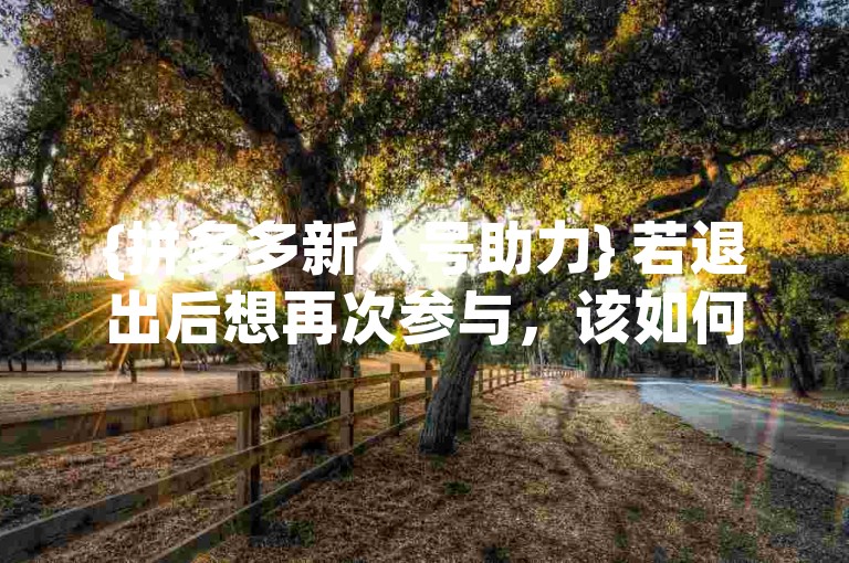 {拼多多新人号助力} 若退出后想再次参与，该如何操作恢复呢？