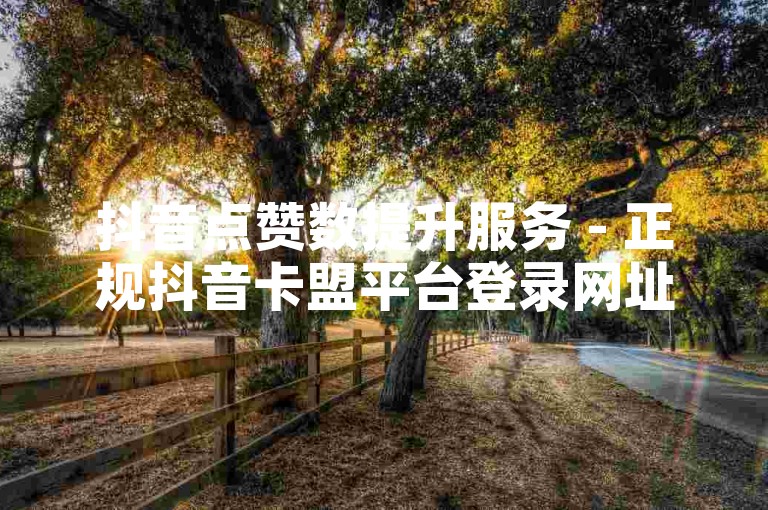 抖音点赞数提升服务 - 正规抖音卡盟平台登录网址