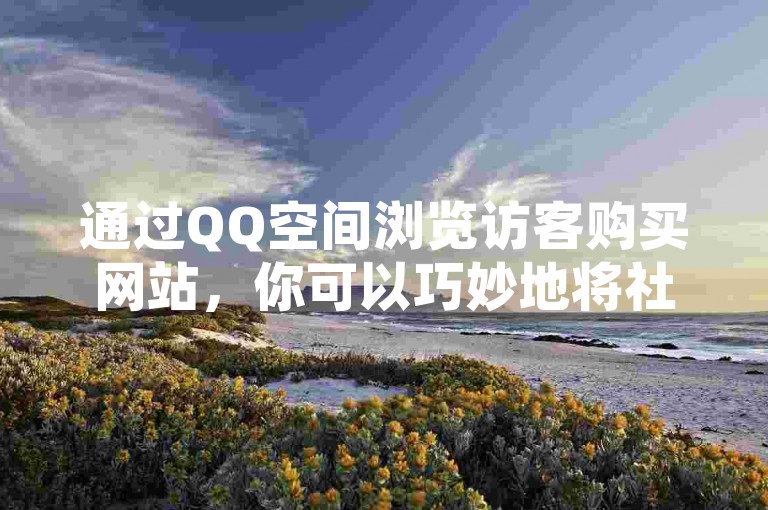通过QQ空间浏览访客购买网站，你可以巧妙地将社交媒体流量转化为实际的网站销售。