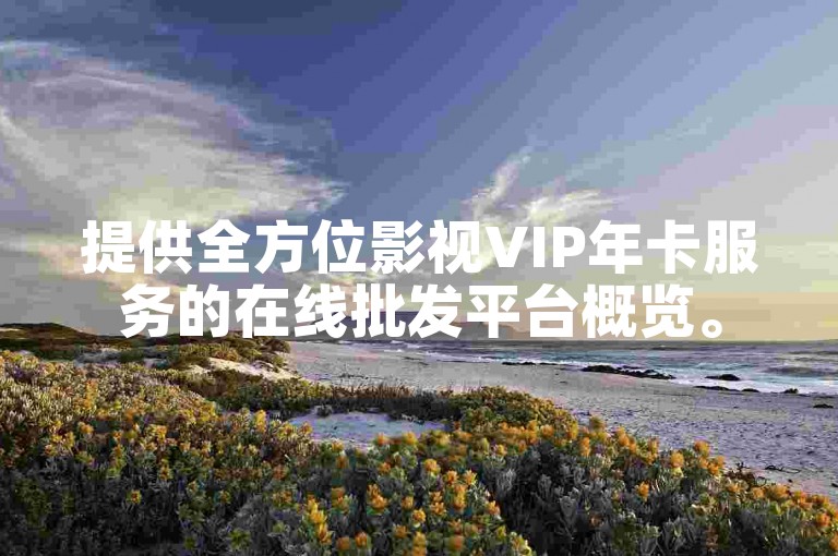 提供全方位影视VIP年卡服务的在线批发平台概览。