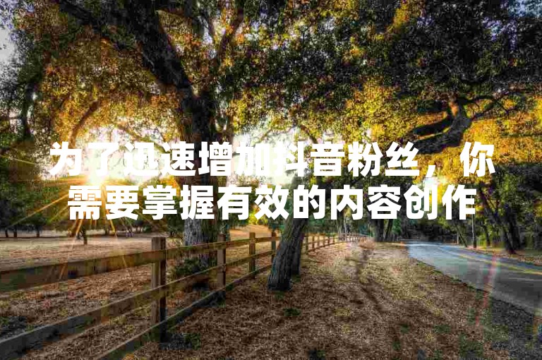 为了迅速增加抖音粉丝，你需要掌握有效的内容创作策略和互动技巧，同时了解如何安全地进行抖音币充值以及寻找可靠的粉丝交易平台。