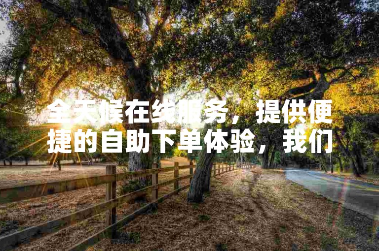 全天候在线服务，提供便捷的自助下单体验，我们的平台专注于为用户提供经济实惠的服务选项。