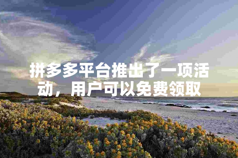 拼多多平台推出了一项活动，用户可以免费领取5件商品助力。