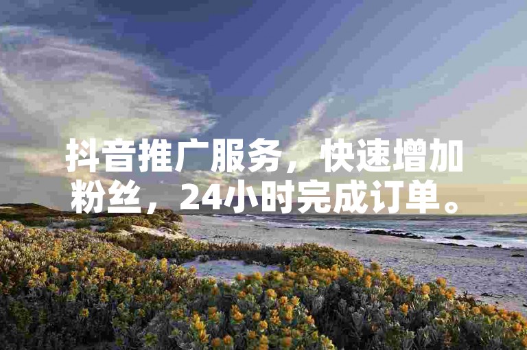 抖音推广服务，快速增加粉丝，24小时完成订单。