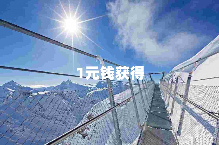 1元钱获得500次点赞 - 探索dy自助下单服务下载选项