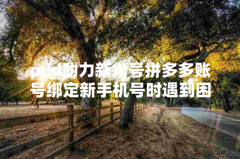 pdd助力新人号拼多多账号绑定新手机号时遇到困难，应该如何解决？
