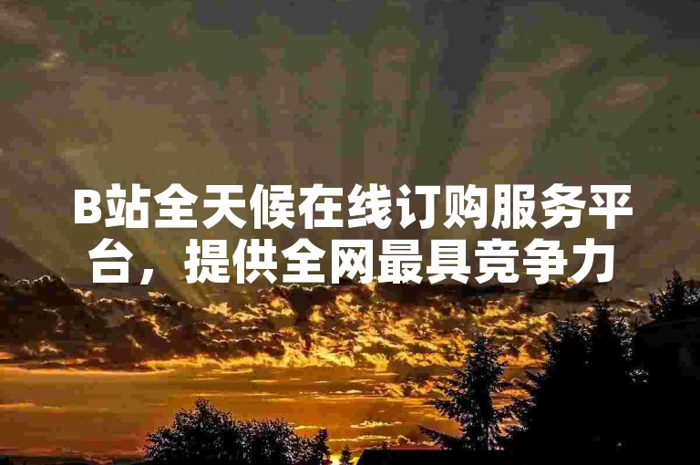 B站全天候在线订购服务平台，提供全网最具竞争力的价格和便捷的自助下单体验。