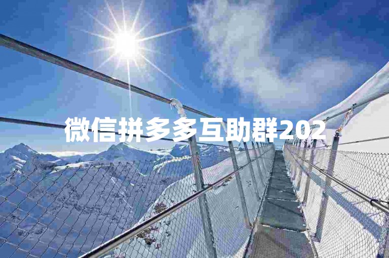 微信拼多多互助群2025{多多助力团}