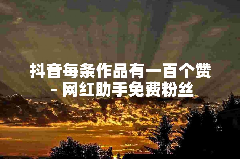 抖音每条作品有一百个赞 - 网红助手免费粉丝