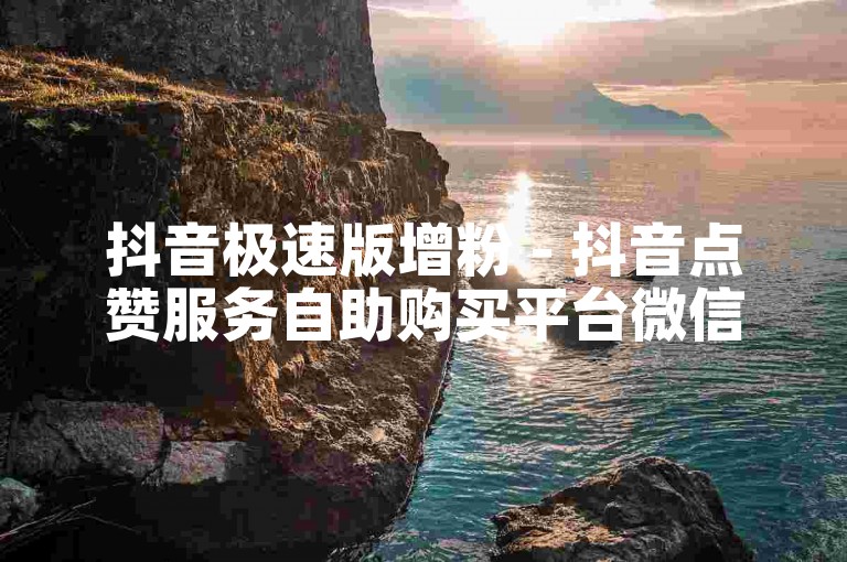 抖音极速版增粉 - 抖音点赞服务自助购买平台微信。