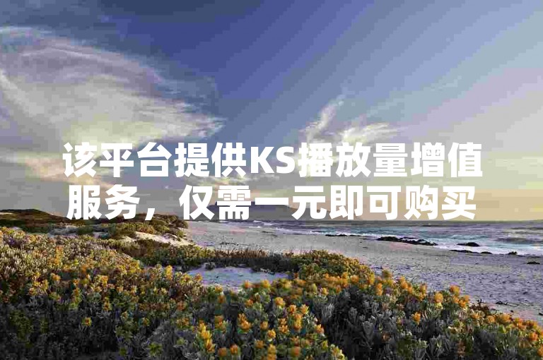 该平台提供KS播放量增值服务，仅需一元即可购买一万播放量。