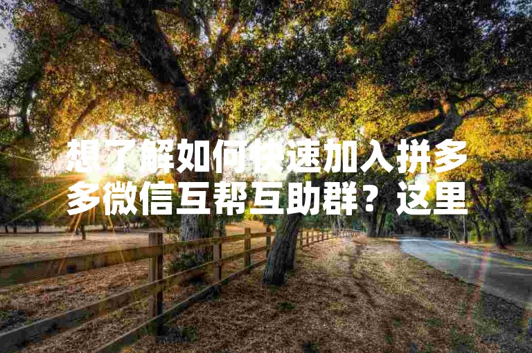 想了解如何快速加入拼多多微信互帮互助群？这里有一份详尽的加入指南，助你轻松步入其中！