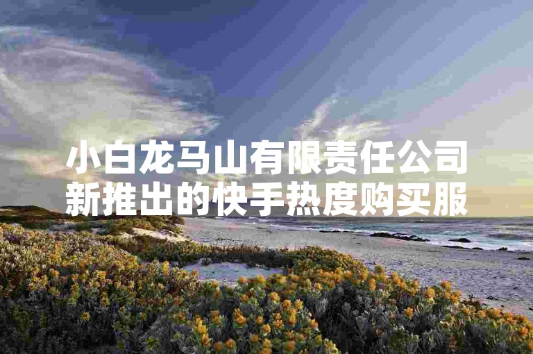 小白龙马山有限责任公司新推出的快手热度购买服务，只需0.01元，成为新人必备的热门平台！