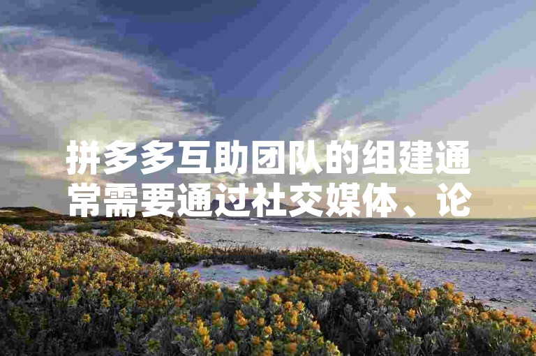 拼多多互助团队的组建通常需要通过社交媒体、论坛或专门的互助平台来寻找愿意参与助力刷人的成员，并制定明确的规则和流程以确保活动的顺利进行。