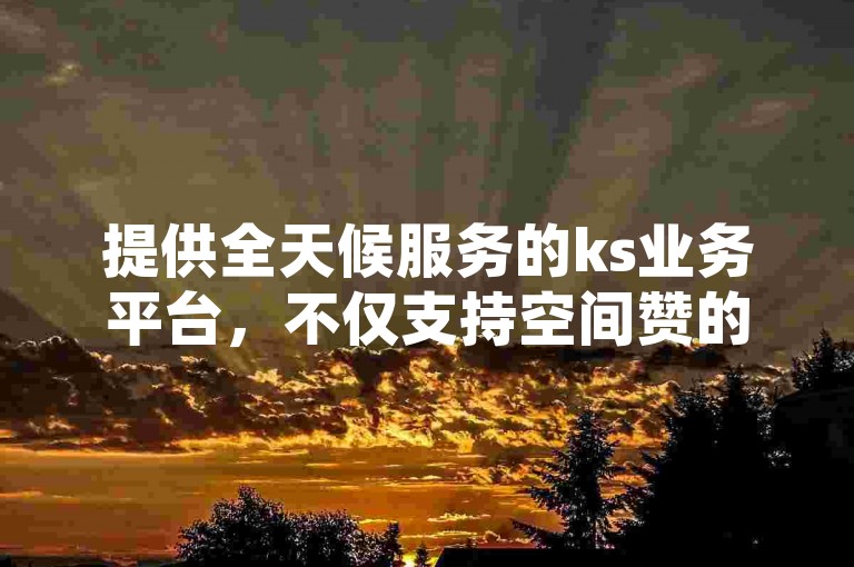 提供全天候服务的ks业务平台，不仅支持空间赞的即时下单，还提供会员充值服务，全部免费且操作便捷。