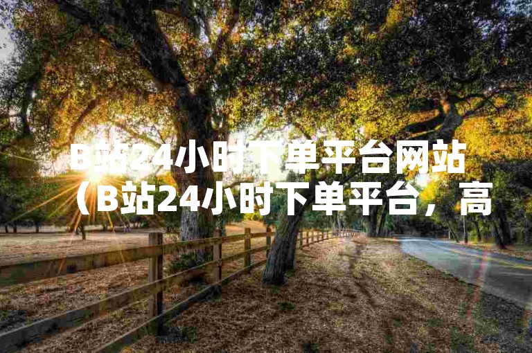 B站24小时下单平台网站（B站24小时下单平台，高效、流畅的购物之旅）