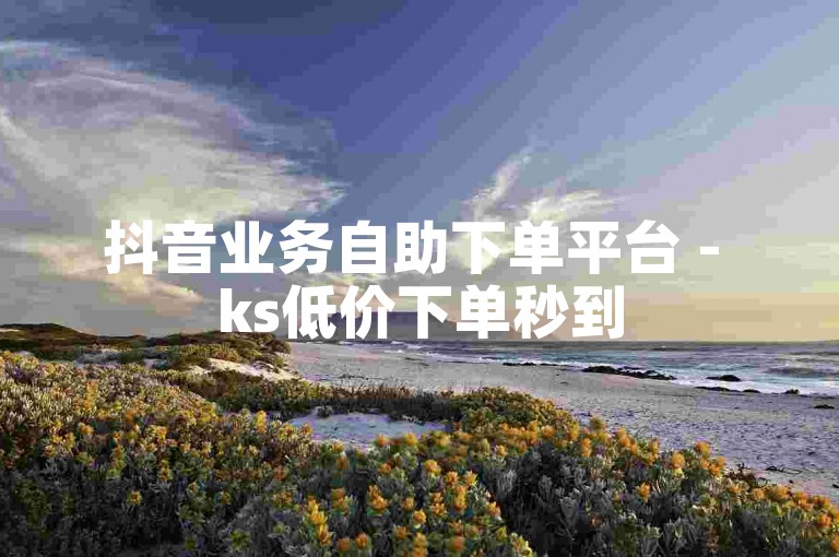 抖音业务自助下单平台 - ks低价下单秒到