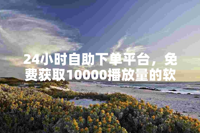 24小时自助下单平台，免费获取10000播放量的软件。