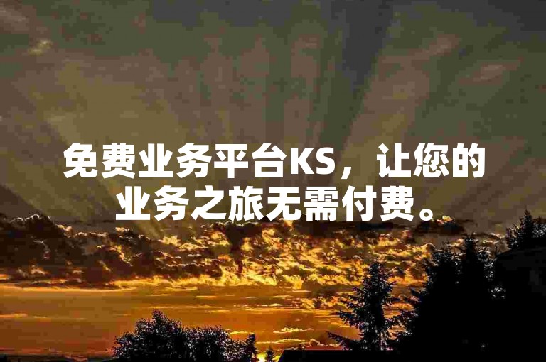 免费业务平台KS，让您的业务之旅无需付费。
