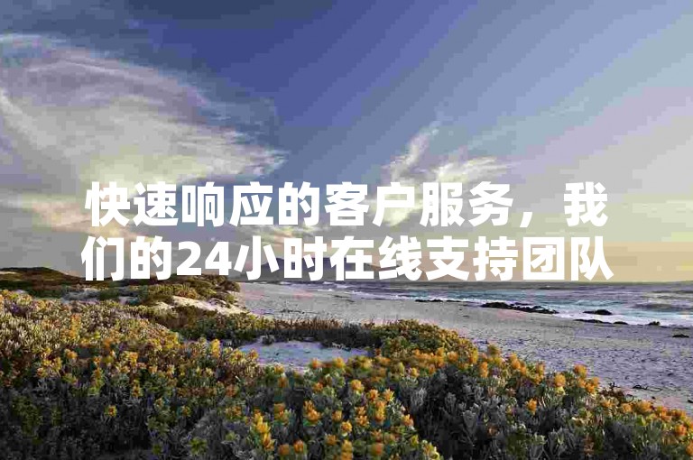 快速响应的客户服务，我们的24小时在线支持团队，确保您随时享受无缝购物体验。