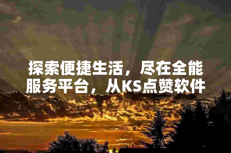 探索便捷生活，尽在全能服务平台，从KS点赞软件到PDD业务下单，再到抖音在线充值，24小时快速响应，全网低价，满足你的多样需求。