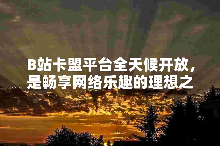 B站卡盟平台全天候开放，是畅享网络乐趣的理想之选。