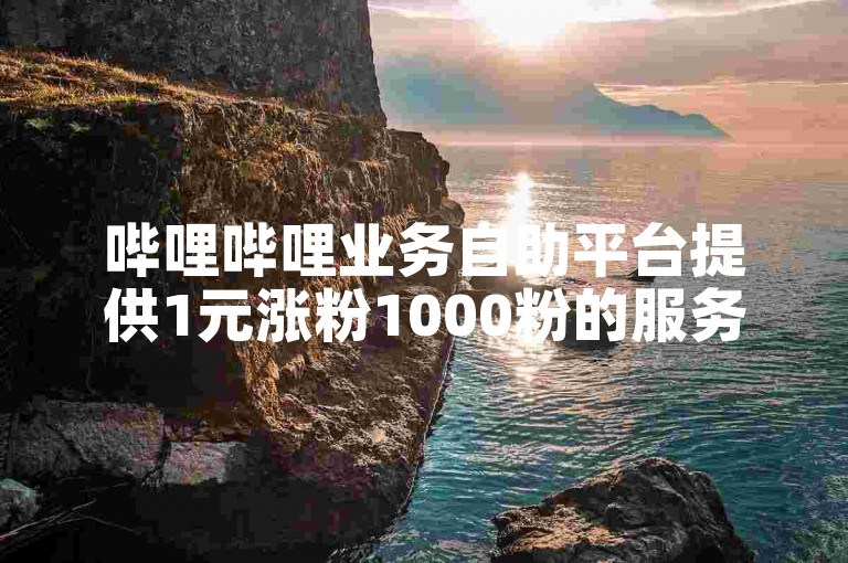 哔哩哔哩业务自助平台提供1元涨粉1000粉的服务。