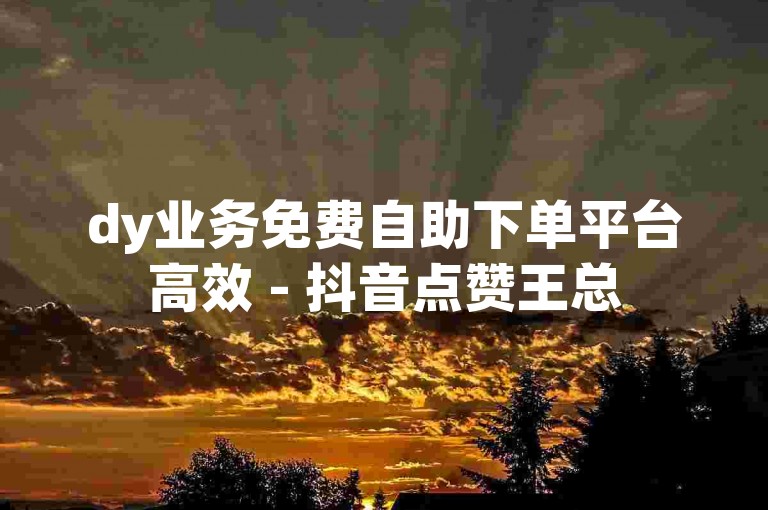 dy业务免费自助下单平台高效 - 抖音点赞王总