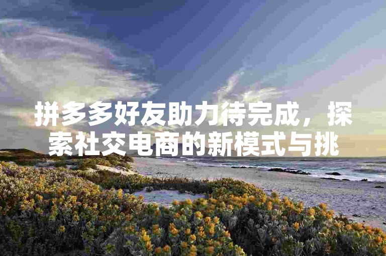拼多多好友助力待完成，探索社交电商的新模式与挑战。
