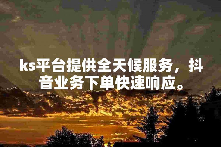 ks平台提供全天候服务，抖音业务下单快速响应。