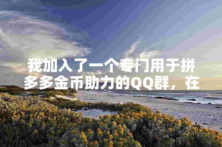 我加入了一个专门用于拼多多金币助力的QQ群，在那里大家互相帮助，共享多多互助网站的信息。