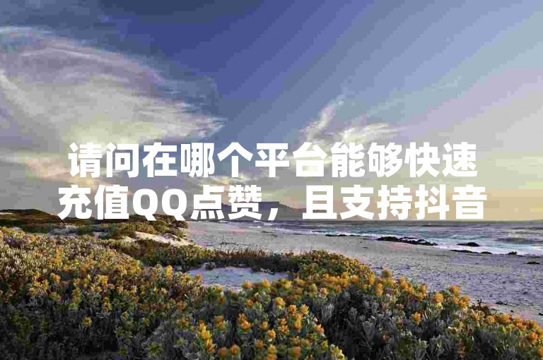 请问在哪个平台能够快速充值QQ点赞，且支持抖音点赞服务并保证即时到账？