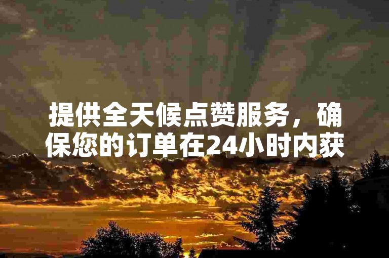 提供全天候点赞服务，确保您的订单在24小时内获得高效处理。