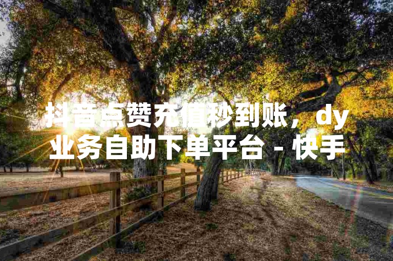 抖音点赞充值秒到账，dy业务自助下单平台 - 快手刷亲密度 - 抖音涮真人粉丝。