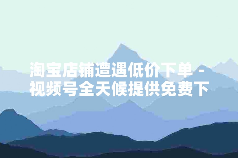 淘宝店铺遭遇低价下单 - 视频号全天候提供免费下单服务。