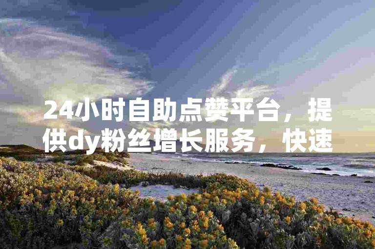 24小时自助点赞平台，提供dy粉丝增长服务，快速提升你的社交影响力。