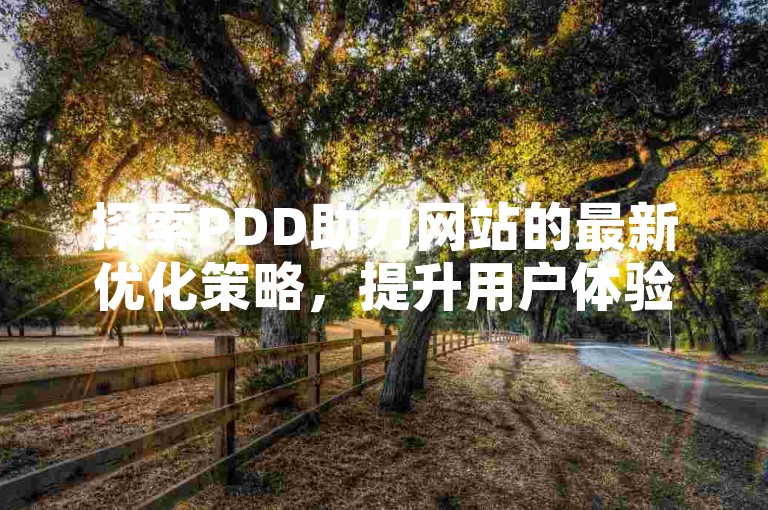 探索PDD助力网站的最新优化策略，提升用户体验与转化率。