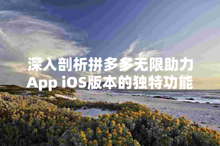 深入剖析拼多多无限助力App iOS版本的独特功能与用户体验。