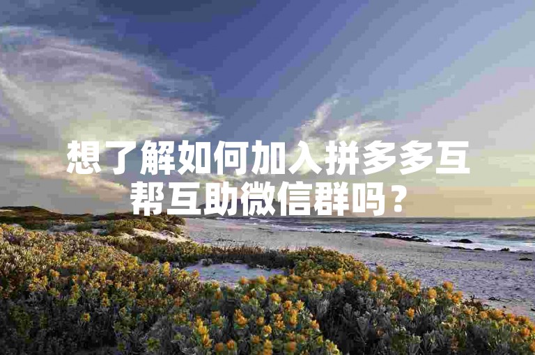 想了解如何加入拼多多互帮互助微信群吗？