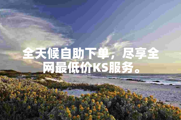 全天候自助下单，尽享全网最低价KS服务。